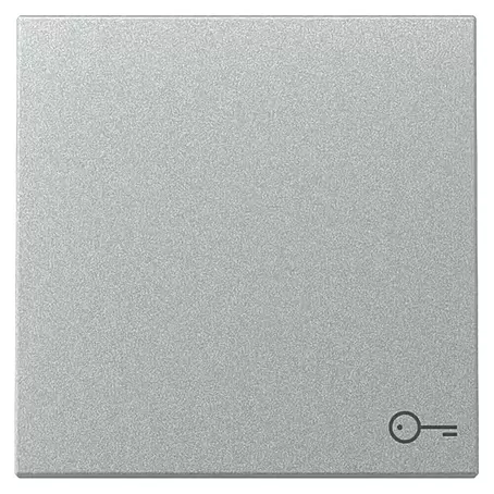 Gira System 55 Universalwippe mit Schlüsselsymbol 328726