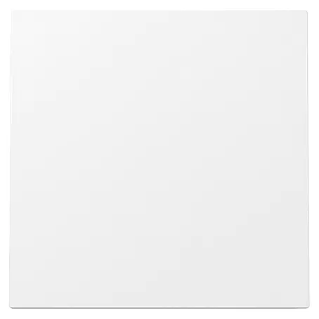Gira Flächenschalter Universalwippe 329670