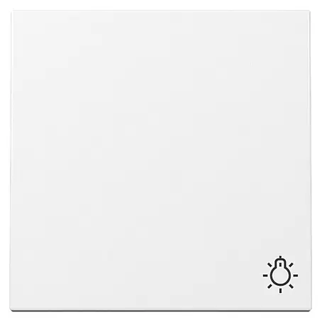 Gira System 55 Universalwippe mit Lichtsymbol 328503