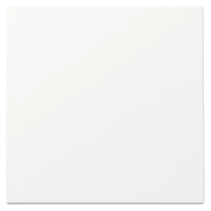 Gira System 55 Universalwippe 329627 - Ohne Symbol, Reinweiß seidenmatt, Kunststoff - Mattweißes Quadrat.