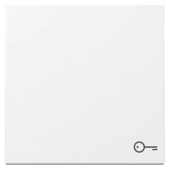 Gira System 55 Universalwippe mit Schlüsselsymbol 328703