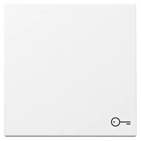 Gira System 55 Universalwippe mit Schlüsselsymbol 328703