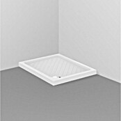 Ceramica Dolomite Gemma 2 Tuš kad  (Do x Š: 100 x 80 cm, Keramika) | 3966 - Duschwannen aus Keramik | DBCA - Duschwannen | DBC - Wannen | DB - Keramik/Wannen | D - Sanitär | BAUHAUS