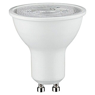 Paulmann LED-Lampe Reflektor Standard (GU10, Dimmbar, Neutralweiß, 460 lm, 7 W, 1 Stk., Weiß matt)