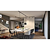 Paulmann LED žarulja  (GU10, Može se prigušiti, Neutralno bijelo, 460 lm, 7 W, 1 Kom., Crna) | BAUHAUS