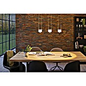 Paulmann URail LED-Pendelleuchte Aldan (Neutralweiß, Signalweiß, Ø x H: 9,8 x 150 cm, 4.000 K) | BAUHAUS