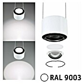 Paulmann URail LED-Pendelleuchte Aldan (Neutralweiß, Signalweiß, Ø x H: 9,8 x 150 cm, 4.000 K) | BAUHAUS