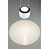 Paulmann URail LED-Pendelleuchte Aldan (Neutralweiß, Signalweiß, Ø x H: 9,8 x 150 cm, 4.000 K) | BAUHAUS