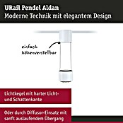 Paulmann URail LED-Pendelleuchte Aldan (Neutralweiß, Signalweiß, Ø x H: 9,8 x 150 cm, 4.000 K) | BAUHAUS