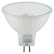 Paulmann LED žarulja  (G5,3, Bez prigušivanja, Topla bijela, 200 lm, 3 W, 1 Kom.) | BAUHAUS