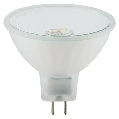 Paulmann  LED-Lampe Reflektor Maxiflood