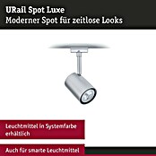 Paulmann URail LED-Spot Luxe (10 W, Chrom matt, 6,5 x 9 x 16,3 cm) | BAUHAUS