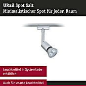 Paulmann URail LED-Spot Salt (10 W, Chrom matt, 3,5 x 4,5 x 11,3 cm) | BAUHAUS