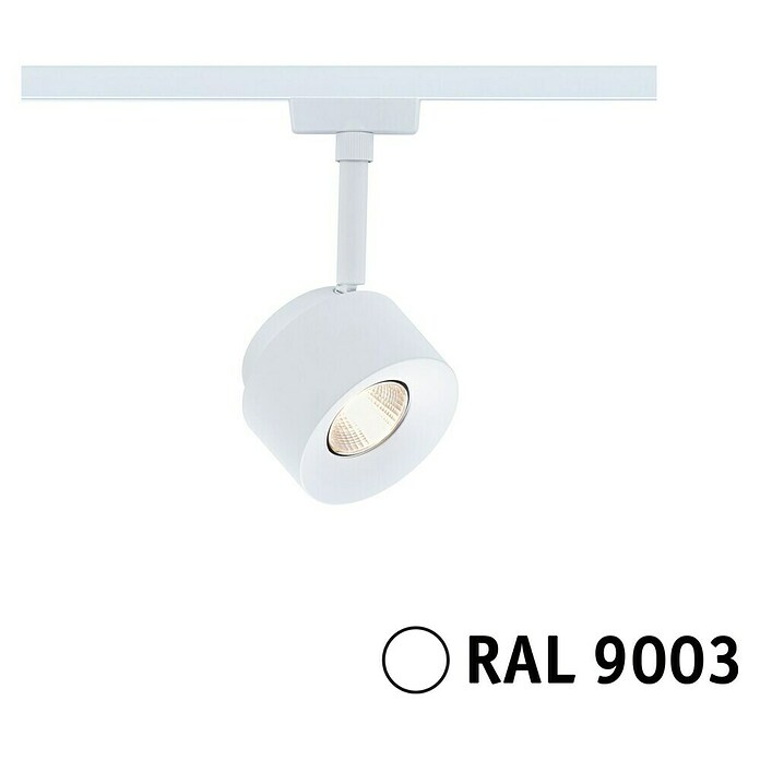 Paulmann URail LED-Spot Pane (Signalweiß, Warmweiß) | BAUHAUS