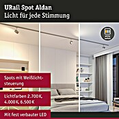 Paulmann URail LED-Spot Aldan (Chrom matt, Warmweiß, Ø x H: 9,9 x 17,9 cm) | BAUHAUS