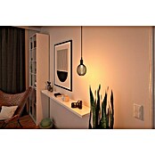 Paulmann LED svetlobni vir Metallic Glow Helix Globe  (E27, Možnost zatemnitve: Ni mogoče zatemniti, Toplo bela, 110 lm, 3,5 W, Črna) | 3503 - LED Spezial- und dekorative Lampen | CBJG - LED Leuchtmittel | CBJ - Leuchtmittel | CB - Elektroinstallation | C - Elektro | BAUHAUS