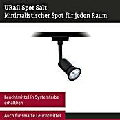 Paulmann URail LED-Spot Salt (10 W, Schwarz matt, 3,5 x 4,5 x 11,3 cm) | BAUHAUS