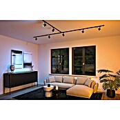 Paulmann URail LED-Spot Luxe (10 W, Schwarz matt, 6,5 x 9 x 16,3 cm, RGBW) | BAUHAUS