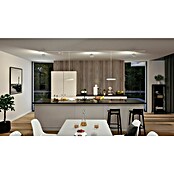 Paulmann URail Stromeinspeisung (100 cm, 100 W, Signalweiß, Inkl. Endkappe) | BAUHAUS
