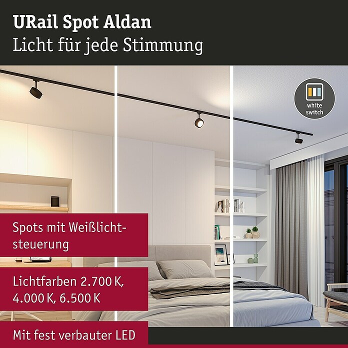 Paulmann URail LED-Spot Aldan (Schwarz matt, Warmweiß, Ø x H: 9,9 x 17,9 cm) | BAUHAUS