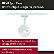 Paulmann URail LED-Spot Pane (Signalweiß, Warmweiß) | BAUHAUS