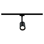 Paulmann URail LED-Spot Luxe (10 W, Schwarz matt, 6,5 x 9 x 16,3 cm) | BAUHAUS