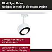 Paulmann URail LED-Spot Aldan (Signalweiß, Warmweiß, Ø x H: 9,8 x 17 cm) | BAUHAUS