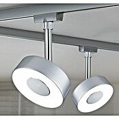 Paulmann URail LED-Spot Circle (Chrom matt, 5 x 9,8 x 15,4 cm, Neutralweiß, 180 lm) | BAUHAUS