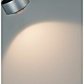 Paulmann URail LED-Spot Aldan (Chrom matt, Warmweiß, Ø x H: 9,9 x 17,9 cm) | BAUHAUS