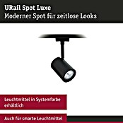 Paulmann URail LED-Spot Luxe (10 W, Schwarz matt, 6,5 x 9 x 16,3 cm) | BAUHAUS