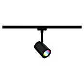 Paulmann URail LED-Spot Luxe (10 W, Schwarz matt, 6,5 x 9 x 16,3 cm, RGBW) | BAUHAUS