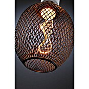 Paulmann LED svetlobni vir Metallic Glow Helix Globe  (E27, Možnost zatemnitve: Ni mogoče zatemniti, Toplo bela, 110 lm, 3,5 W, Črna) | 3503 - LED Spezial- und dekorative Lampen | CBJG - LED Leuchtmittel | CBJ - Leuchtmittel | CB - Elektroinstallation | C - Elektro | BAUHAUS