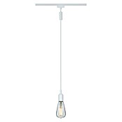 Paulmann URail Pendeladapter Universal (Signalweiß, Höhe: 150 cm) | BAUHAUS