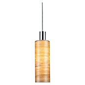 Paulmann URail 2Easy Lampenschirm Vitus (E27, Light Oak, Ø x H: 11 x 30 cm) | BAUHAUS