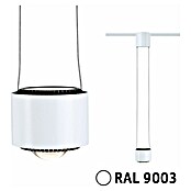 Paulmann URail LED-Pendelleuchte Aldan (Warmweiß, Signalweiß, Ø x H: 9,8 x 150 cm, 3.000 K) | BAUHAUS