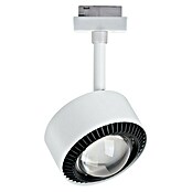 Paulmann URail LED-Spot Aldan (Signalweiß, Warmweiß, Ø x H: 9,9 x 17,9 cm) | BAUHAUS