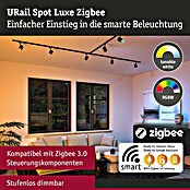 Paulmann URail LED-Spot Luxe (10 W, Schwarz matt, 6,5 x 9 x 16,3 cm, RGBW) | BAUHAUS