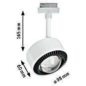 Paulmann URail LED-Spot Aldan (Signalweiß, Warmweiß, Ø x H: 9,9 x 17,9 cm) | BAUHAUS