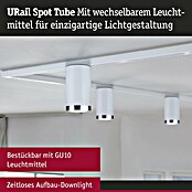 Paulmann URail LED-Spot Tube (10 W, Signalweiß, Ø x H: 6,5 x 12,8 cm) | BAUHAUS