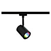 Paulmann URail LED-Spot Luxe (10 W, Schwarz matt, 6,5 x 9 x 16,3 cm, RGBW) | BAUHAUS