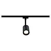 Paulmann URail LED-Spot Luxe (10 W, Schwarz matt, 6,5 x 9 x 16,3 cm, RGBW) | BAUHAUS