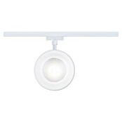 Paulmann URail LED-Spot Arena (Signalweiß, 7,8 x 12,3 x 19,1 cm, Warmweiß) | BAUHAUS