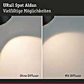 Paulmann URail LED-Spot Aldan (Schwarz matt, Warmweiß, Ø x H: 9,9 x 17,9 cm) | BAUHAUS