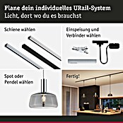 Paulmann URail 2Easy Lampenschirm Neila (E27, Ø x H: 23 x 12,4 cm, Rauchglas) | BAUHAUS