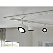 Paulmann URail LED-Spot Aldan (Signalweiß, Warmweiß, Ø x H: 9,9 x 17,9 cm) | BAUHAUS