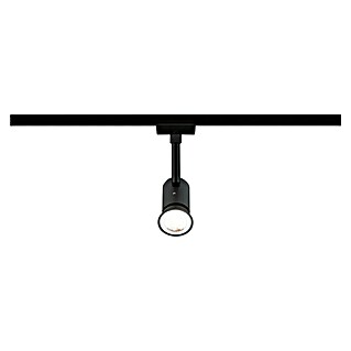 Paulmann URail LED-Spot Runa (10 W, Schwarz matt, 3,5 x 6 x 13,3 cm)