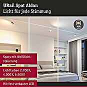 Paulmann URail LED-Spot Aldan (Signalweiß, Warmweiß, Ø x H: 9,9 x 17,9 cm) | BAUHAUS