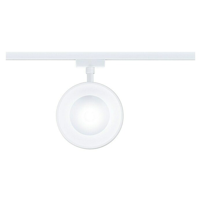 Paulmann URail LED-Spot Arena (Signalweiß, 7,8 x 12,3 x 19,1 cm, Neutralweiß) | BAUHAUS