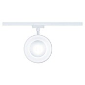 Paulmann URail LED-Spot Arena (Signalweiß, 7,8 x 12,3 x 19,1 cm, Neutralweiß) | BAUHAUS