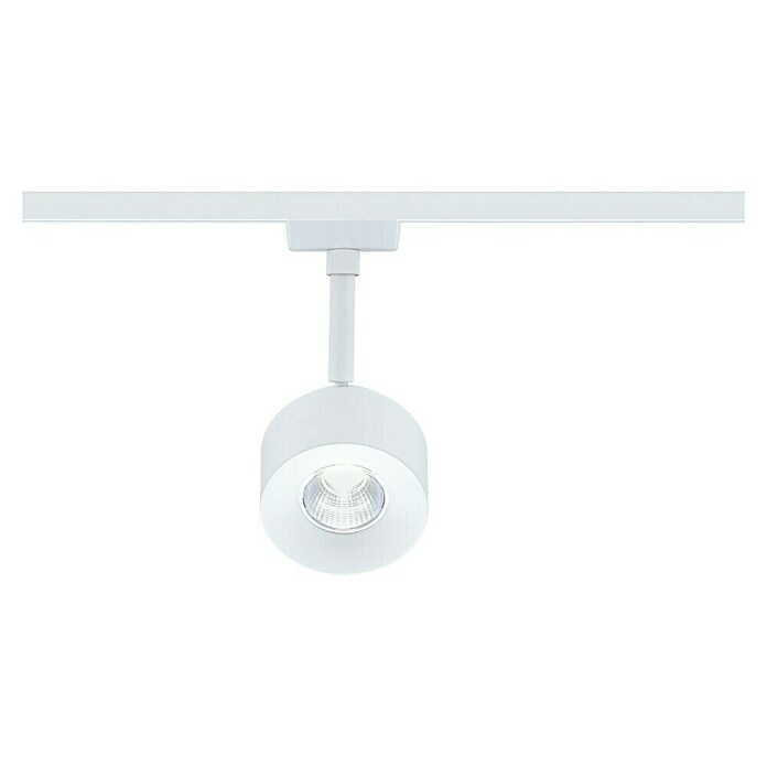 Paulmann URail LED-Spot Pane (Signalweiß, Neutralweiß) | BAUHAUS